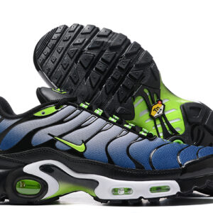 Air Max Plus TN 1 "Icons"