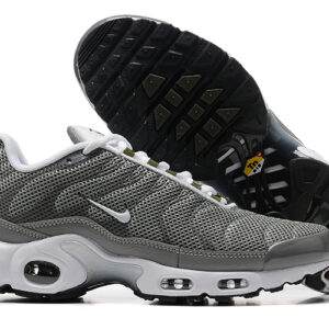 Air Max Plus TN 1 "Flat Pewter"